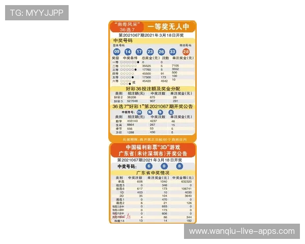 稳胆计划避坑指南 彩票数字高频玩法防骗秘诀 稳胆计划避坑指南 彩票数字高频玩法防骗秘诀